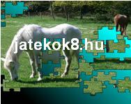 kiraks puzzle jtk 86